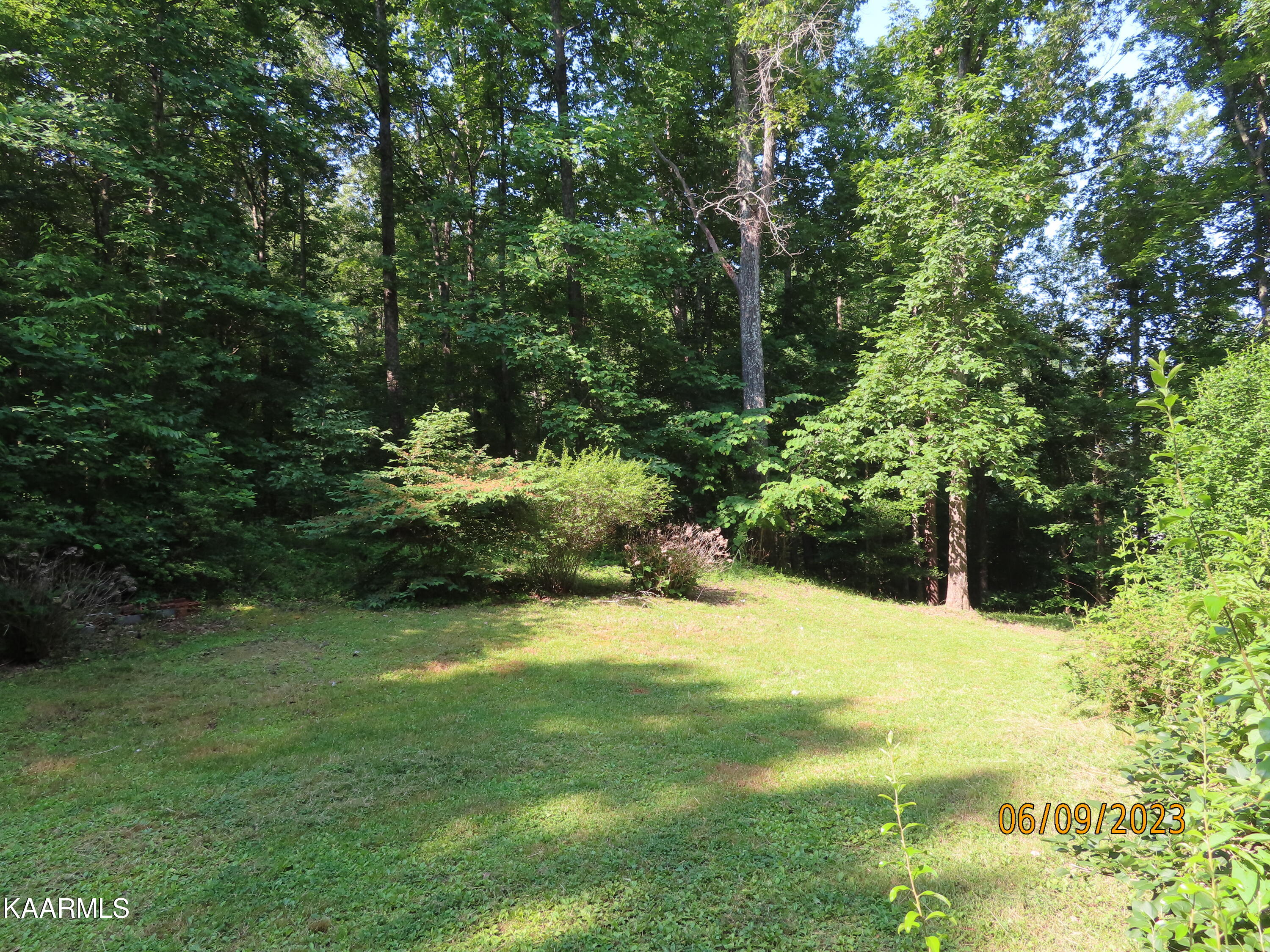 1908 Cove Pointe Road La Follette, TN 37766 - Photo 43 of 43 Back Yard