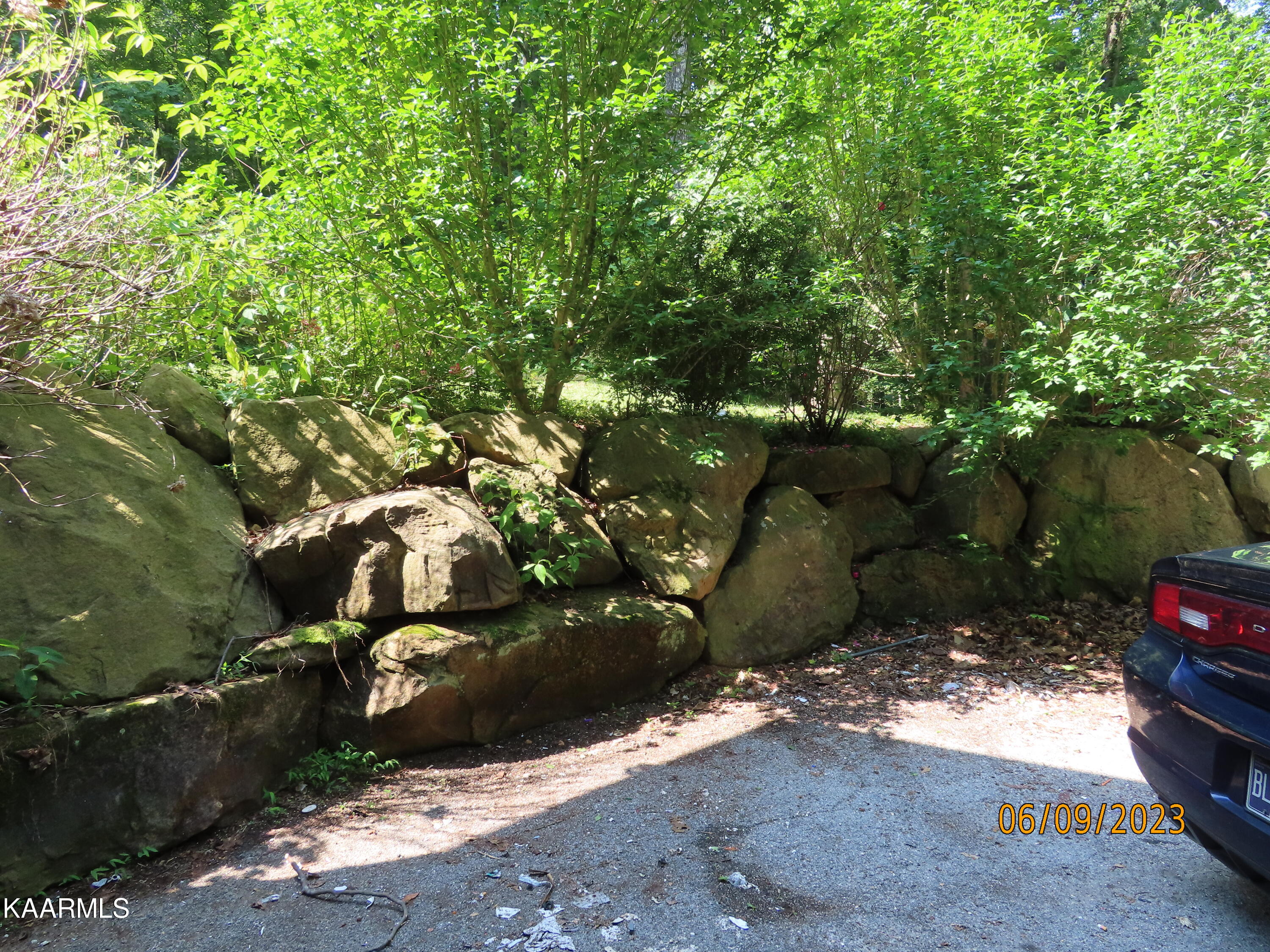 1908 Cove Pointe Road La Follette, TN 37766 - Photo 8 of 43 Right Side