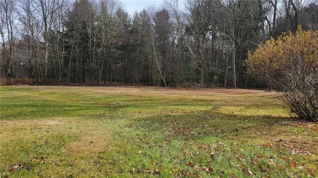 a view of a field with trees in the background