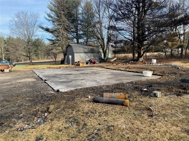 a view of a yard with a tree