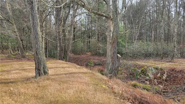 a view of a big yard with a house in the background