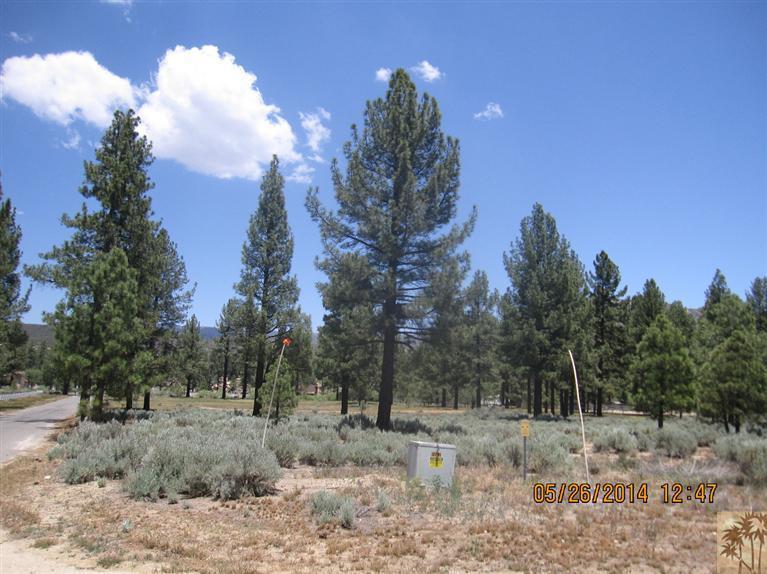 2 Tool Box Spring Road Mountain Center, CA 92561 - Photo 1 of 10 a view of a dry yard with trees