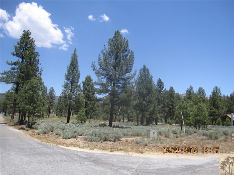 2 Tool Box Spring Road Mountain Center, CA 92561 - Photo 2 of 10 a view of a dry yard with trees in the background
