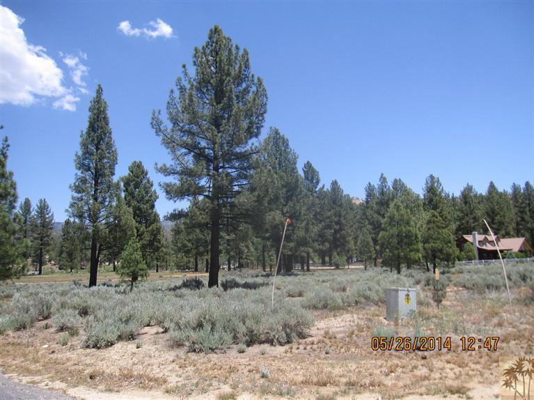 2 Tool Box Spring Road Mountain Center, CA 92561 - Photo 3 of 10 a view of a forest filled with trees