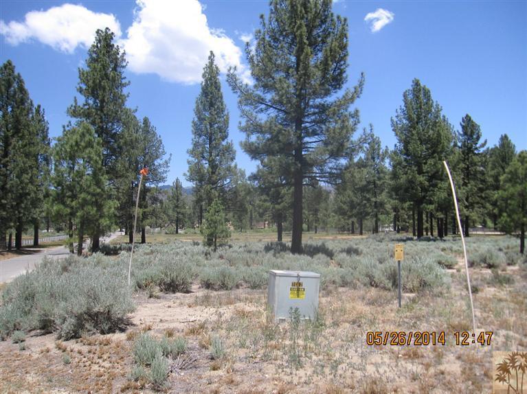 2 Tool Box Spring Road Mountain Center, CA 92561 - Photo 4 of 10 a view of a dry yard with trees