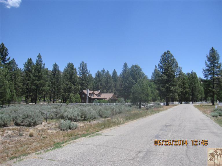 2 Tool Box Spring Road Mountain Center, CA 92561 - Photo 5 of 10 a view of a dry yard with trees in the background