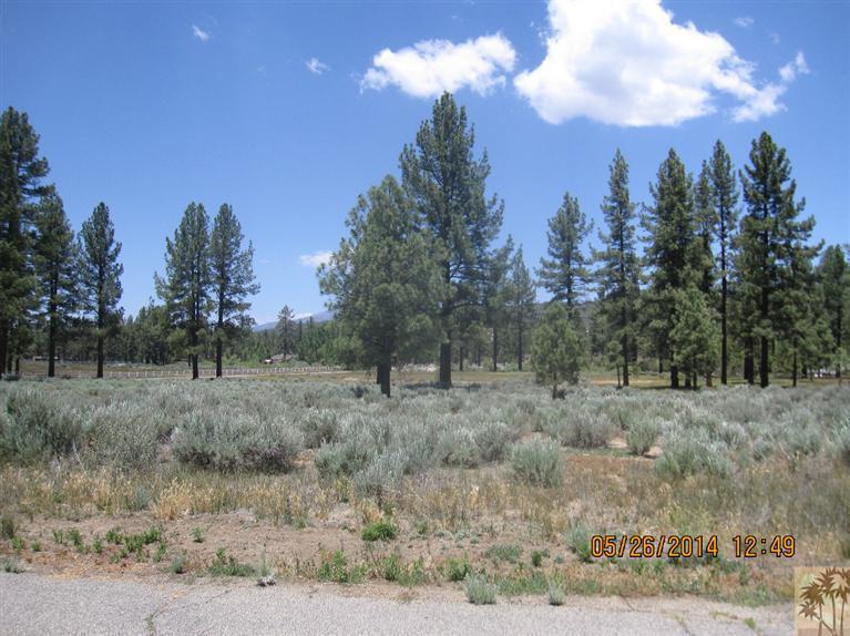 2 Tool Box Spring Road Mountain Center, CA 92561 - Photo 7 of 10 a view of a dry yard