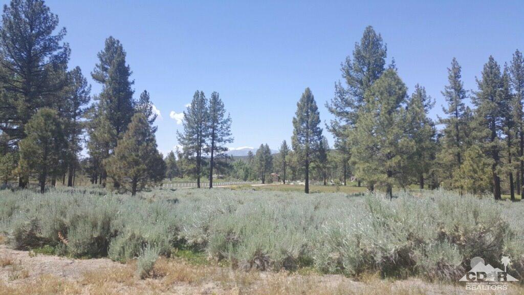 2 Tool Box Spring Road Mountain Center, CA 92561 - Photo 9 of 10 a view of a dry field with trees in background