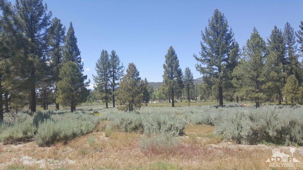 2 Tool Box Spring Road Mountain Center, CA 92561 - Photo 10 of 10 a view of a dry field with trees in background