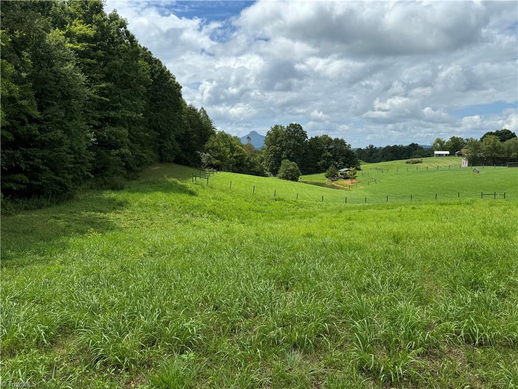 1.01 Chestnut Grove Road Pinnacle, NC 27043 - Photo 1 of 17
