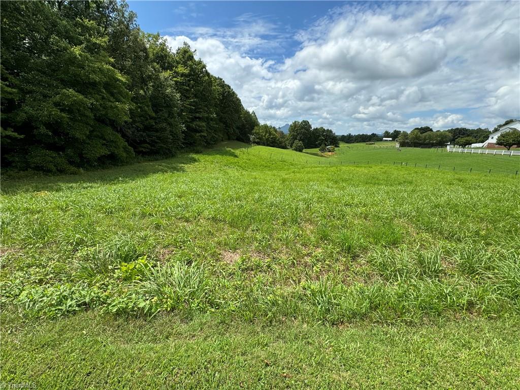 1.01 Chestnut Grove Road Pinnacle, NC 27043 - Photo 11 of 17