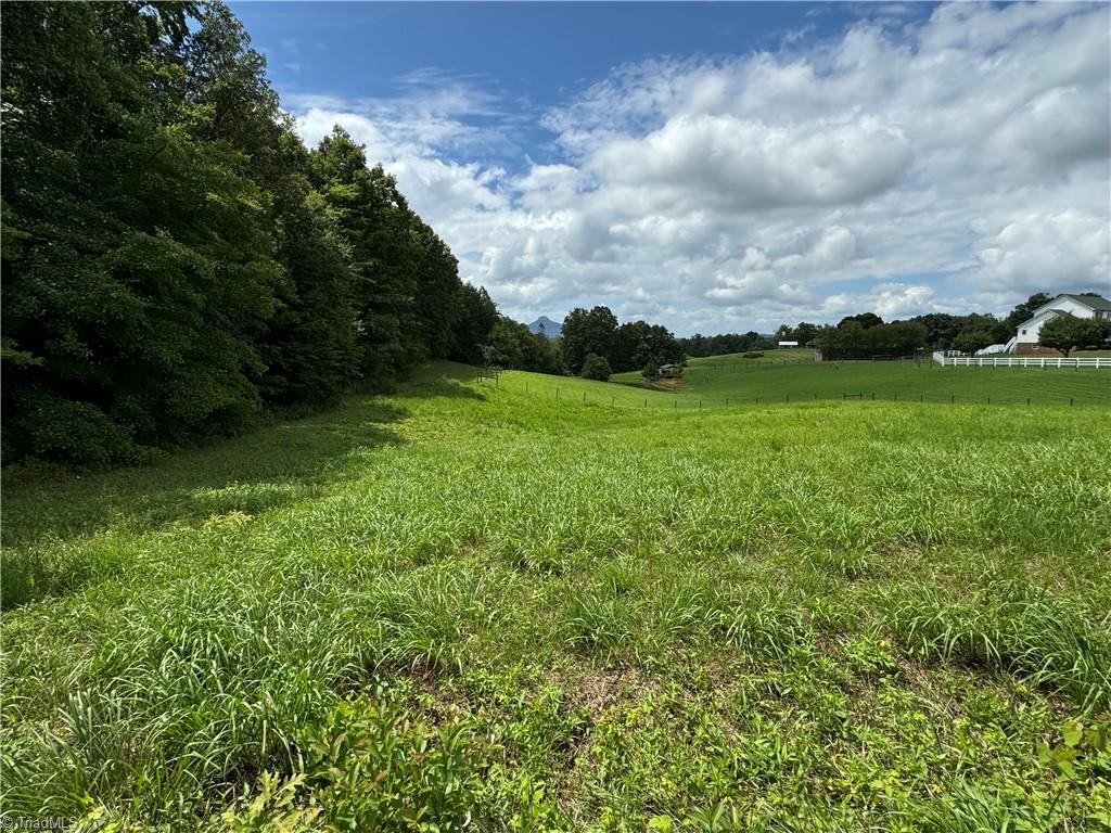 1.01 Chestnut Grove Road Pinnacle, NC 27043 - Photo 12 of 17