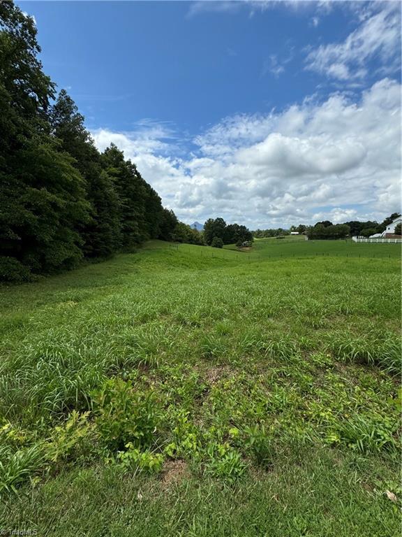 1.01 Chestnut Grove Road Pinnacle, NC 27043 - Photo 15 of 17