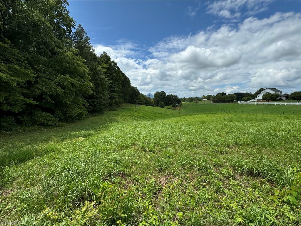 1.01 Chestnut Grove Road Pinnacle, NC 27043 - Photo 16 of 17
