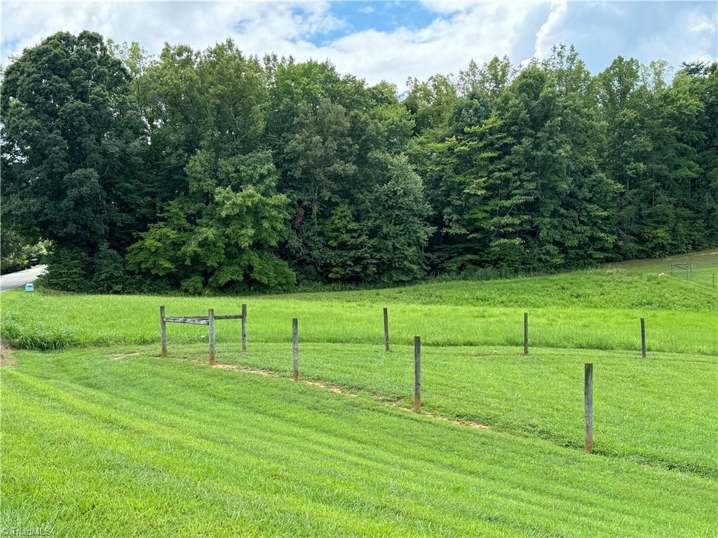 1.01 Chestnut Grove Road Pinnacle, NC 27043 - Photo 2 of 17