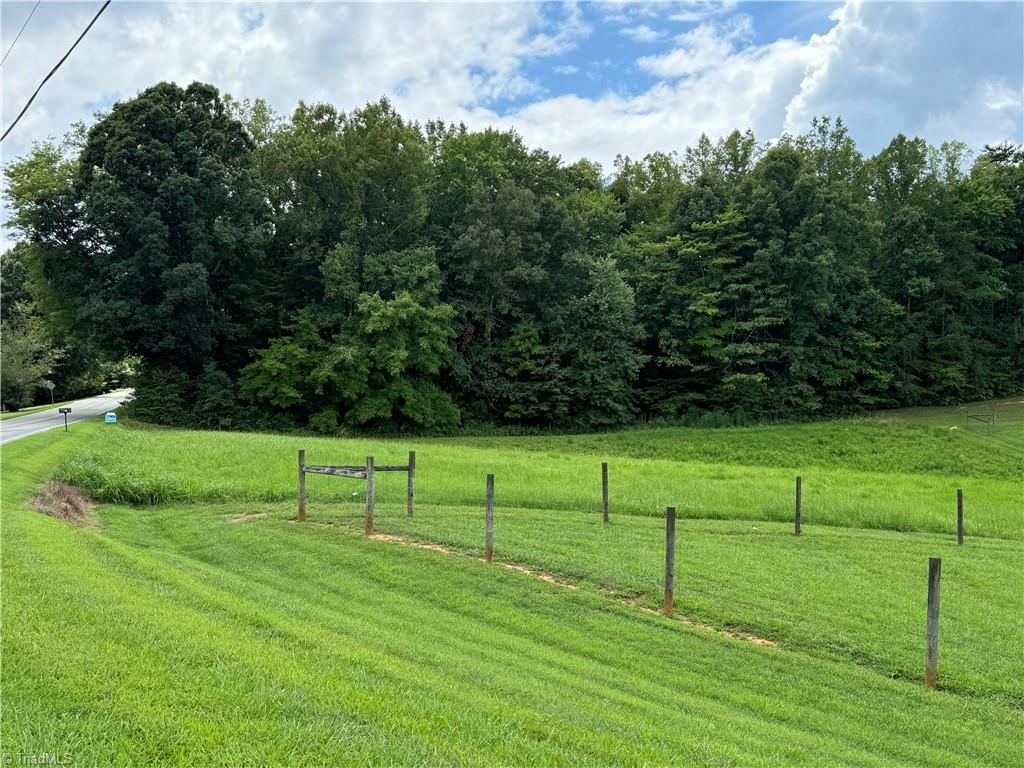 1.01 Chestnut Grove Road Pinnacle, NC 27043 - Photo 4 of 17