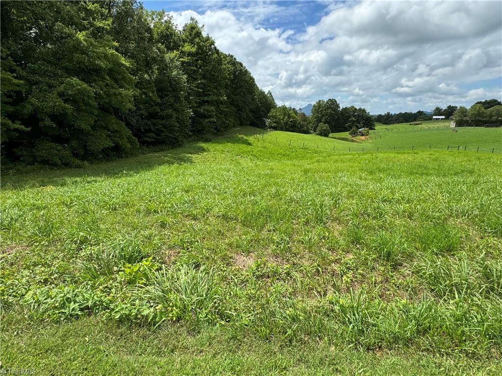 1.01 Chestnut Grove Road Pinnacle, NC 27043 - Photo 10 of 17
