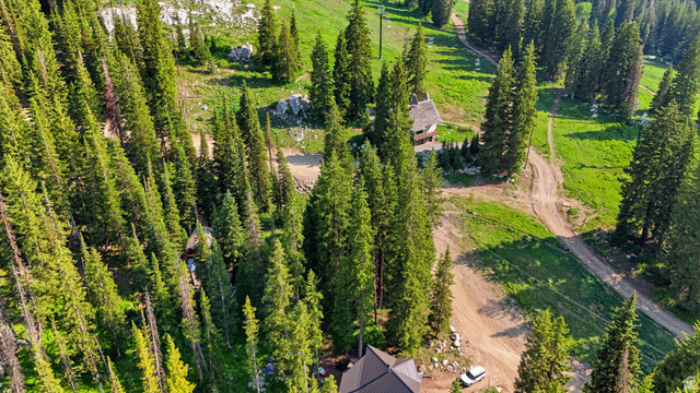 8505 South Snake Crk Road Salt Lake City, UT 84121 - Photo 53 of 67 Expansive acreage featuring multiple structures, mature evergreen trees, and unpaved access paths