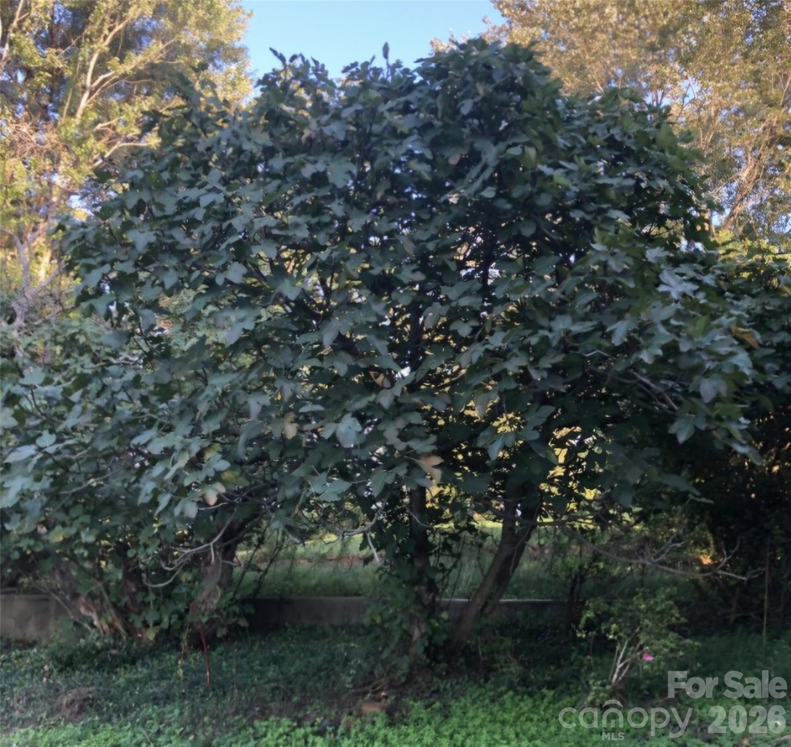 1237 New Crest Lane Shelby, NC 28150 - Photo 41 of 41