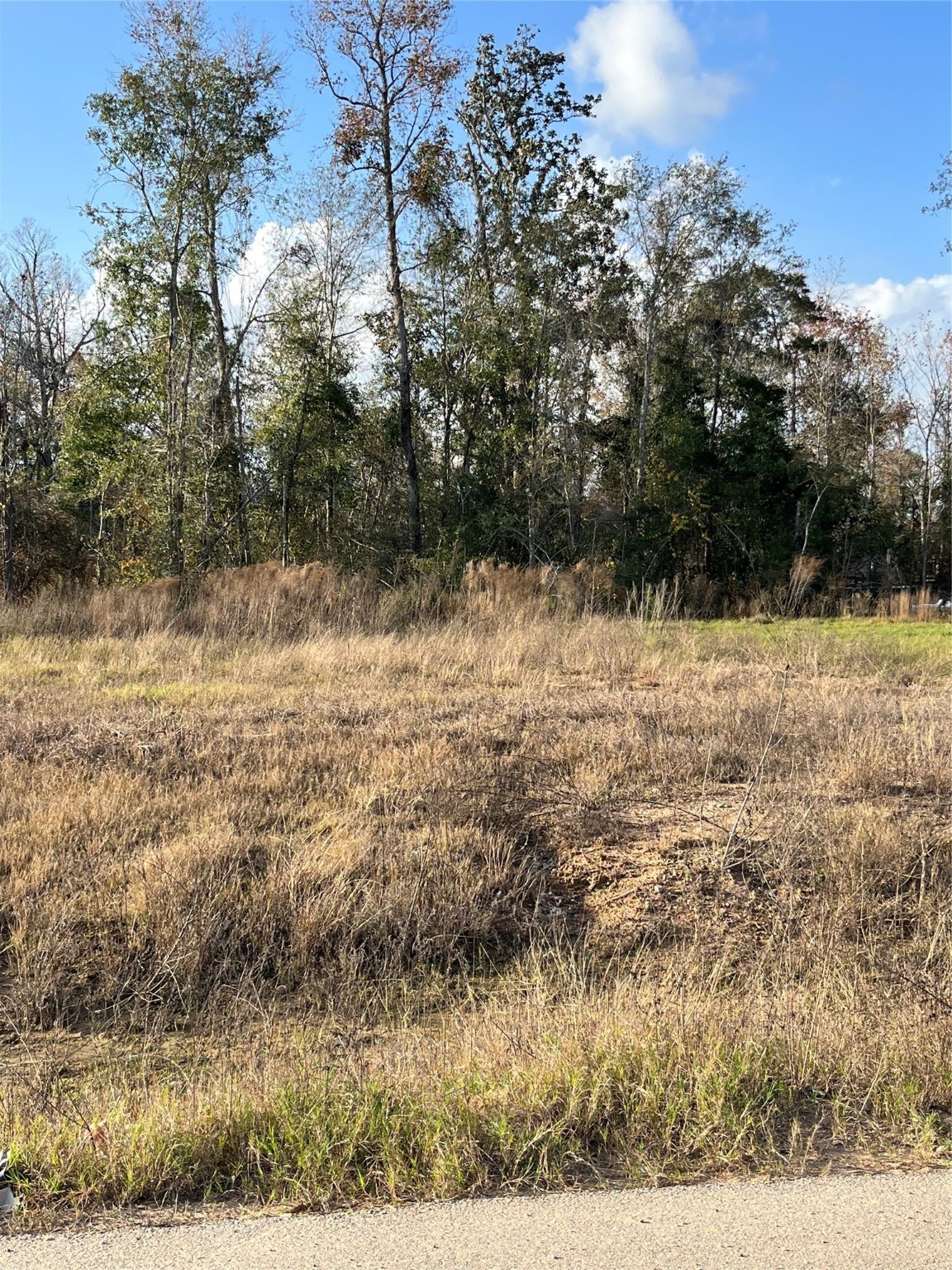 255 County Road 373 Splendora, TX 77372 - Photo 9 of 17