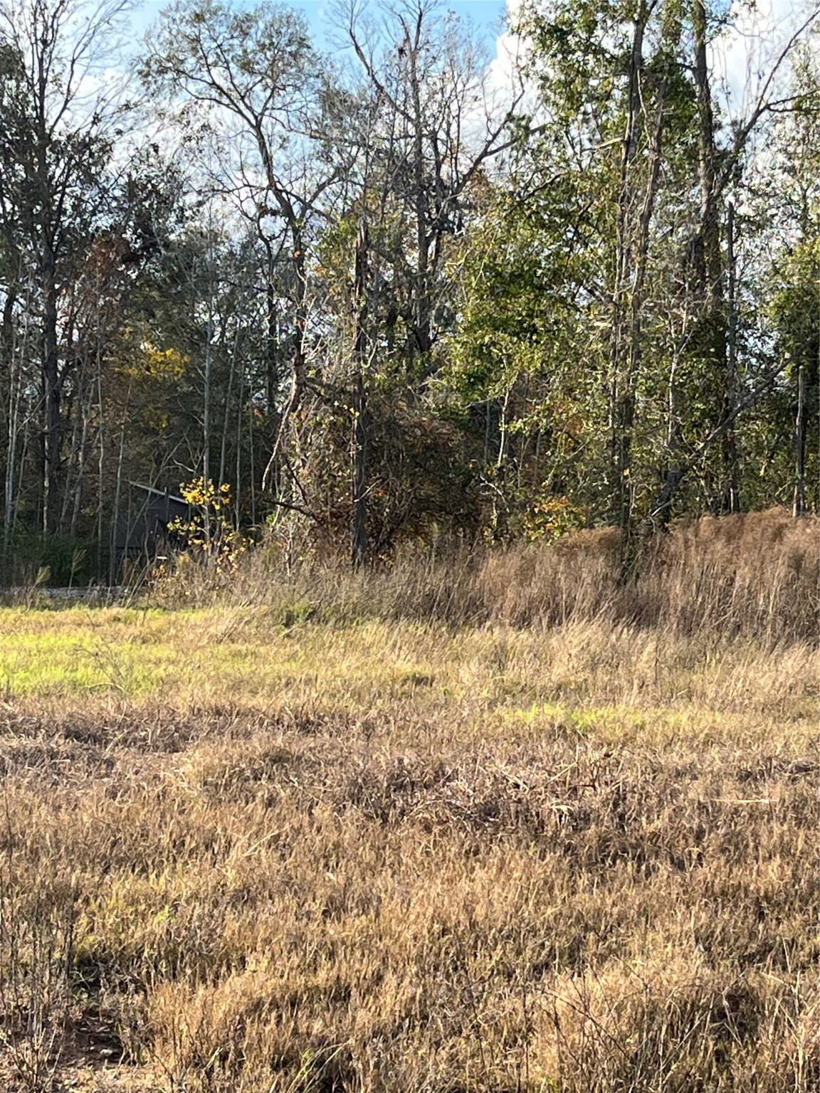 255 County Road 373 Splendora, TX 77372 - Photo 10 of 17