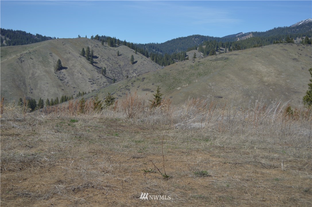 0 Olalla Canyon Road Cashmere, WA 98815 - Photo 1 of 21 Gallery Image 1