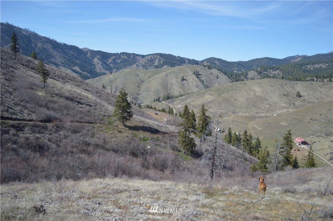 0 Olalla Canyon Road Cashmere, WA 98815 - Photo 11 of 21 Gallery Image 11