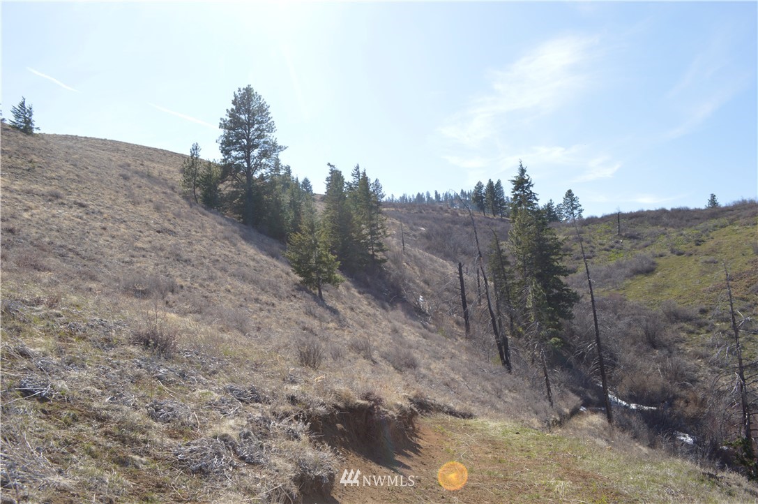 0 Olalla Canyon Road Cashmere, WA 98815 - Photo 12 of 21 Gallery Image 12