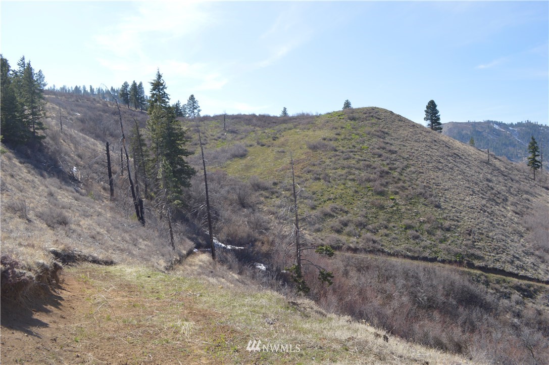 0 Olalla Canyon Road Cashmere, WA 98815 - Photo 13 of 21 Gallery Image 13