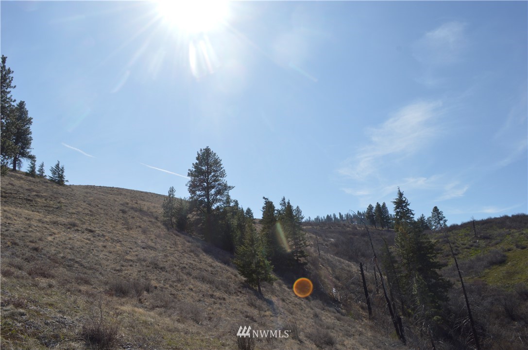 0 Olalla Canyon Road Cashmere, WA 98815 - Photo 14 of 21 Gallery Image 14