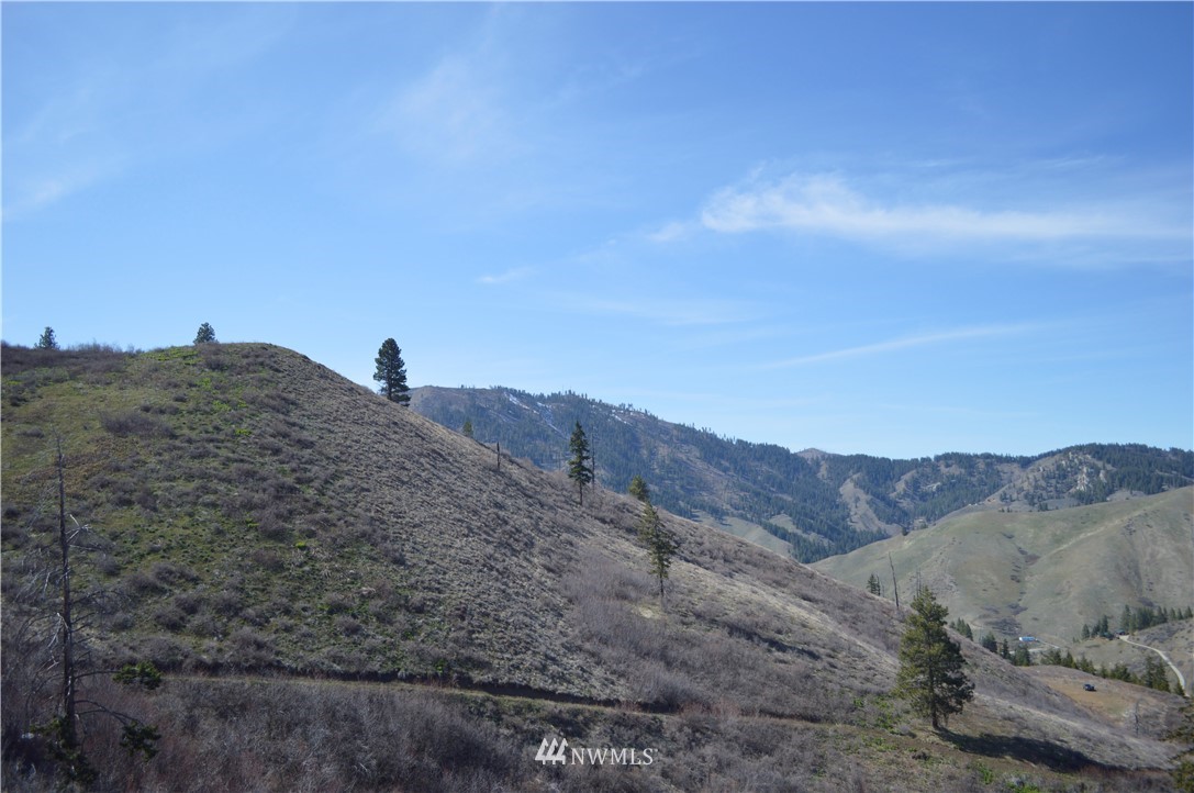 0 Olalla Canyon Road Cashmere, WA 98815 - Photo 15 of 21 Gallery Image 15