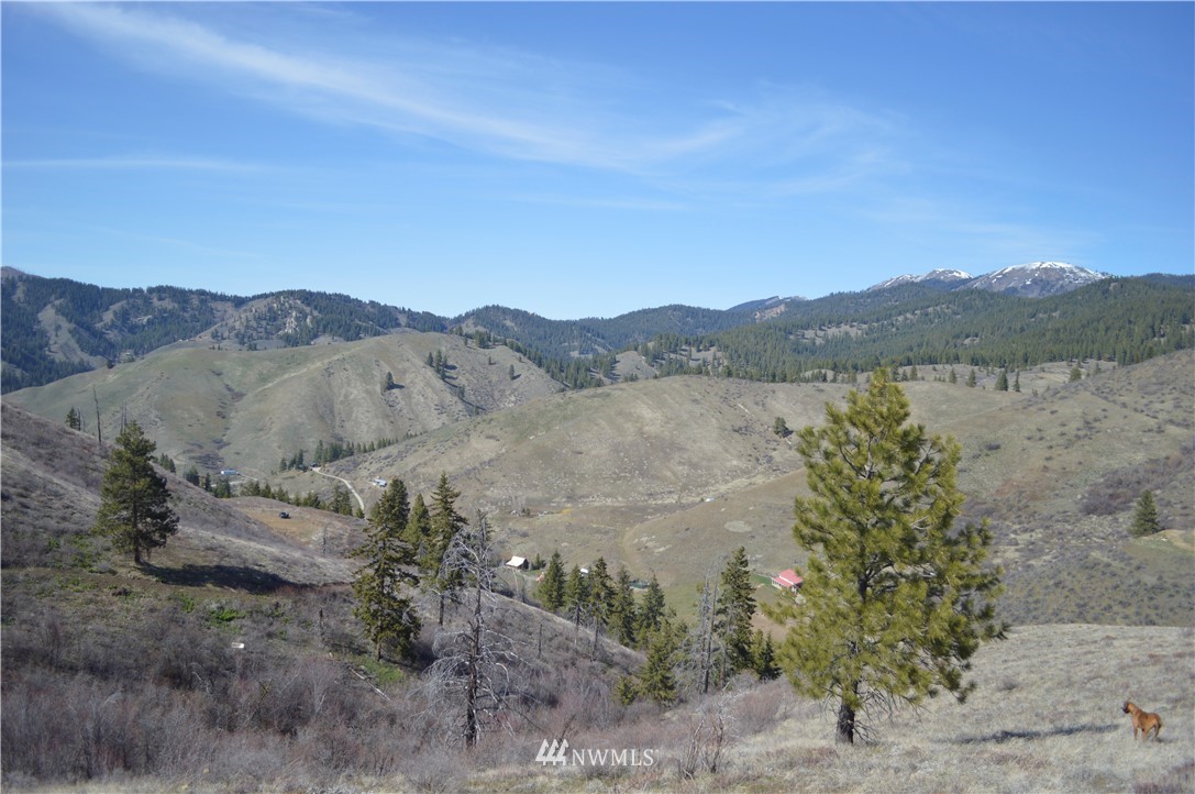 0 Olalla Canyon Road Cashmere, WA 98815 - Photo 16 of 21 Gallery Image 16
