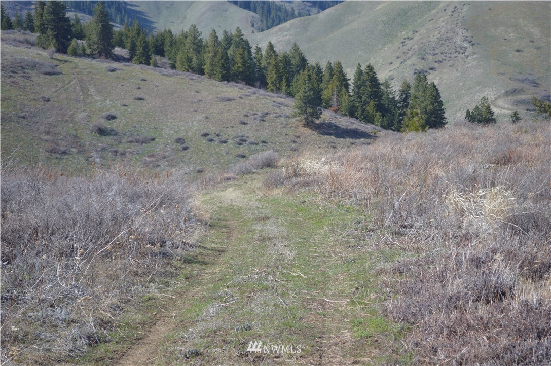 0 Olalla Canyon Road Cashmere, WA 98815 - Photo 18 of 21 Gallery Image 18