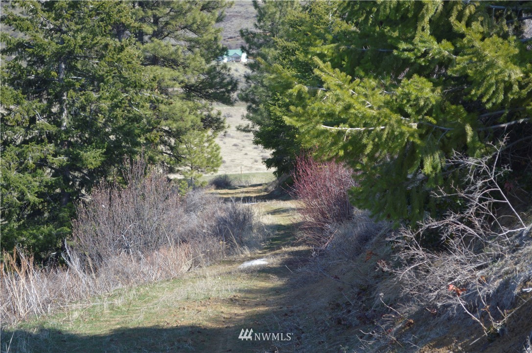0 Olalla Canyon Road Cashmere, WA 98815 - Photo 19 of 21 Gallery Image 19