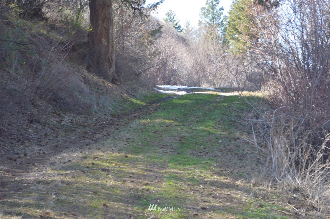 0 Olalla Canyon Road Cashmere, WA 98815 - Photo 20 of 21 Gallery Image 20