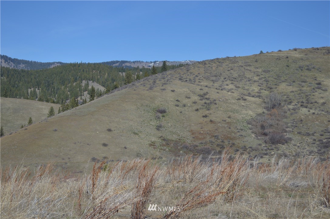 0 Olalla Canyon Road Cashmere, WA 98815 - Photo 3 of 21 Gallery Image 3