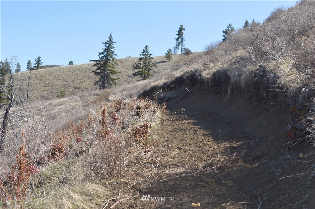 0 Olalla Canyon Road Cashmere, WA 98815 - Photo 4 of 21 Gallery Image 4