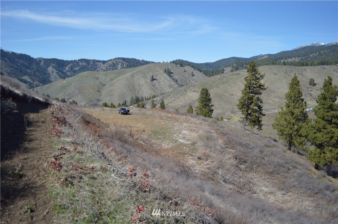 0 Olalla Canyon Road Cashmere, WA 98815 - Photo 5 of 21 Gallery Image 5