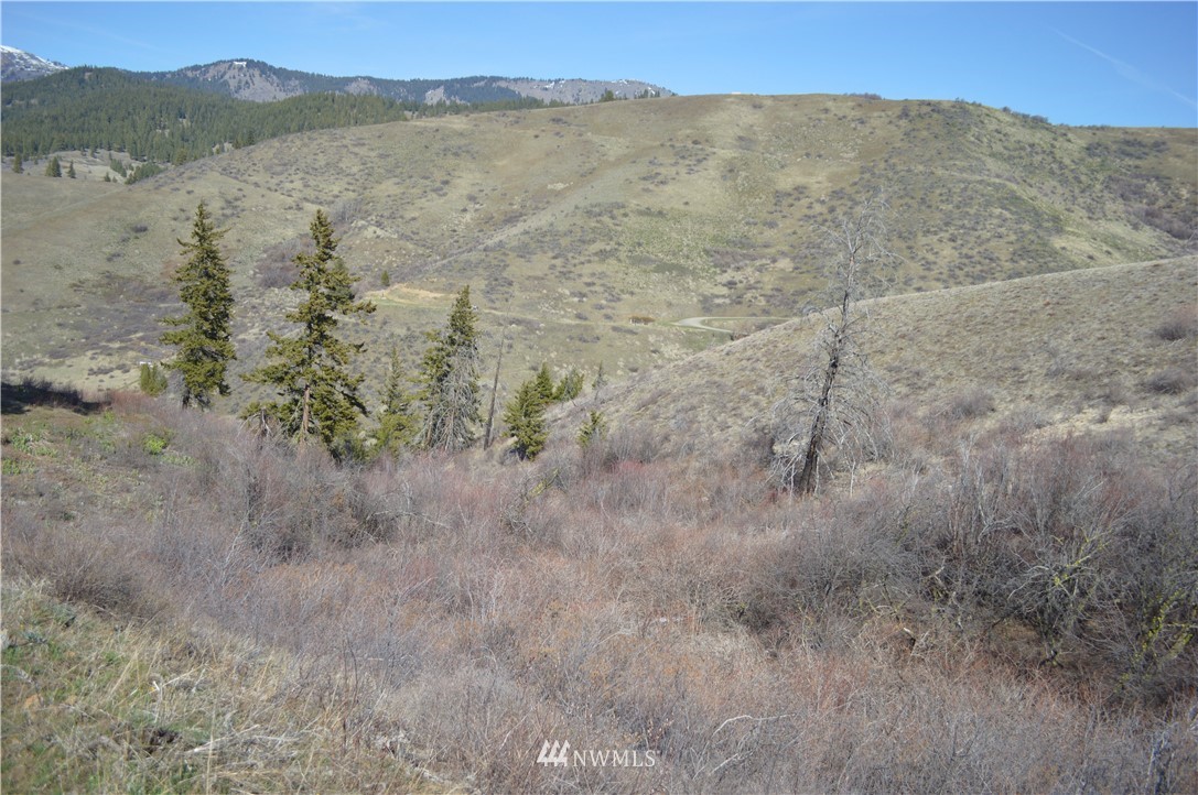 0 Olalla Canyon Road Cashmere, WA 98815 - Photo 10 of 21 Gallery Image 10