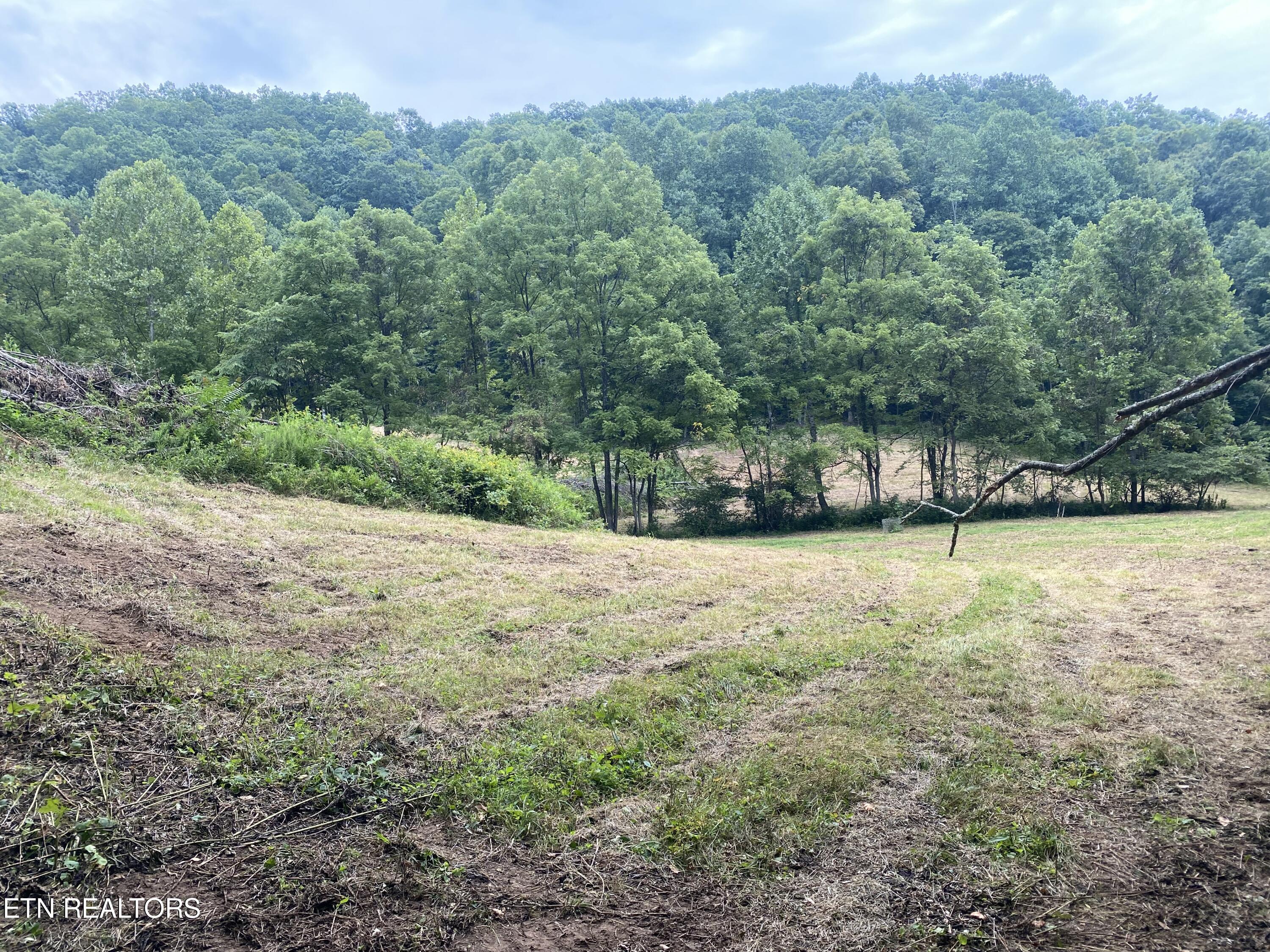 1088 Jones Ridge Road Speedwell, TN 37870 - Photo 41 of 53 IMG_0753