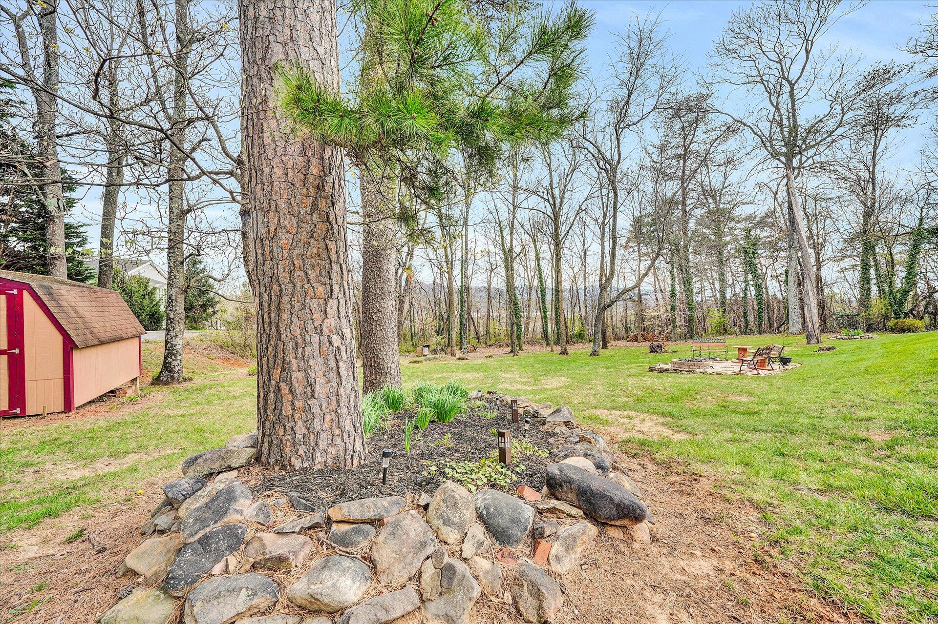 111 Deep Dell Road Salem, VA 24153 - Photo 38 of 39 a view of backyard with tree