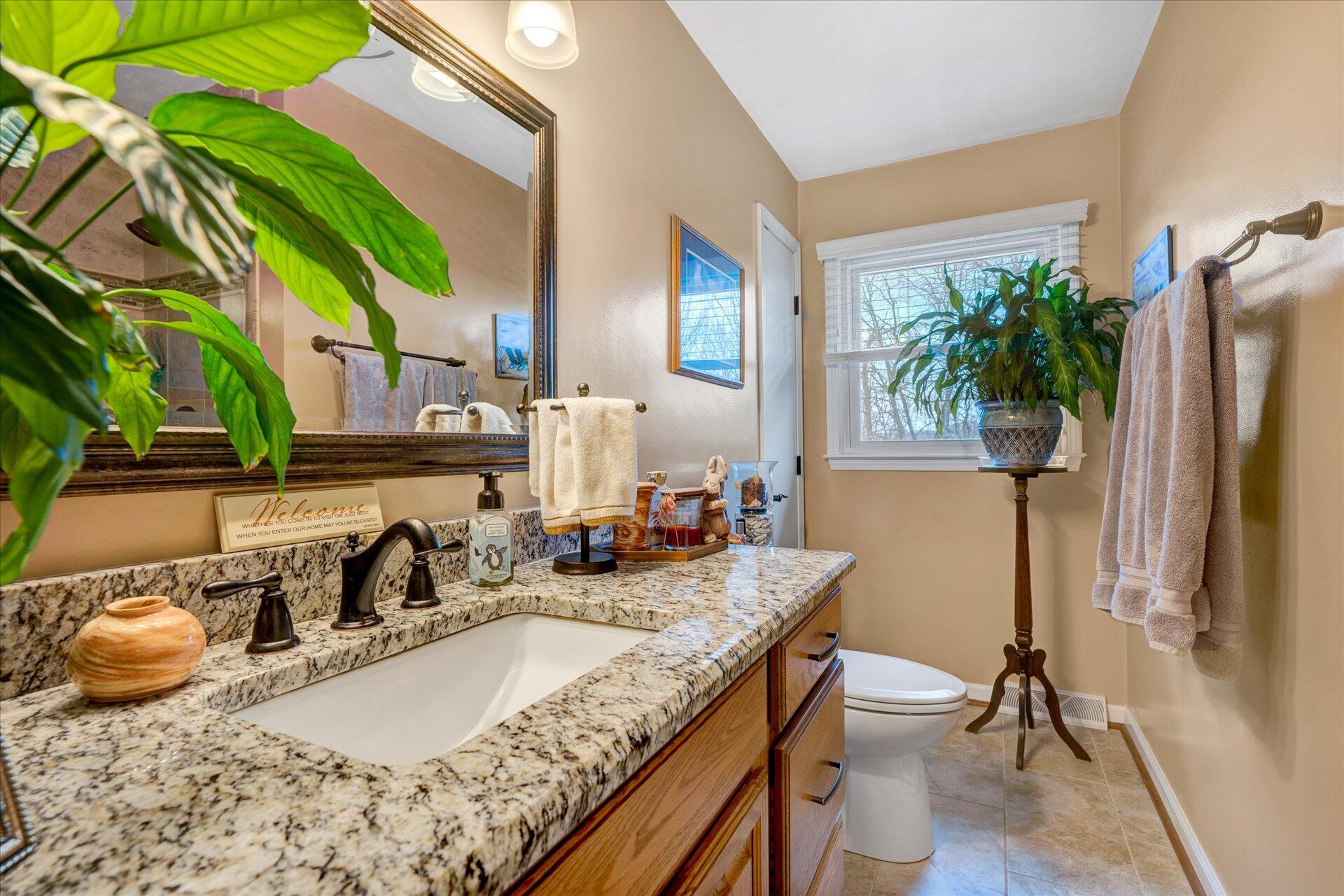 111 Deep Dell Road Salem, VA 24153 - Photo 9 of 39 a bathroom with a granite countertop sink a toilet and a mirror