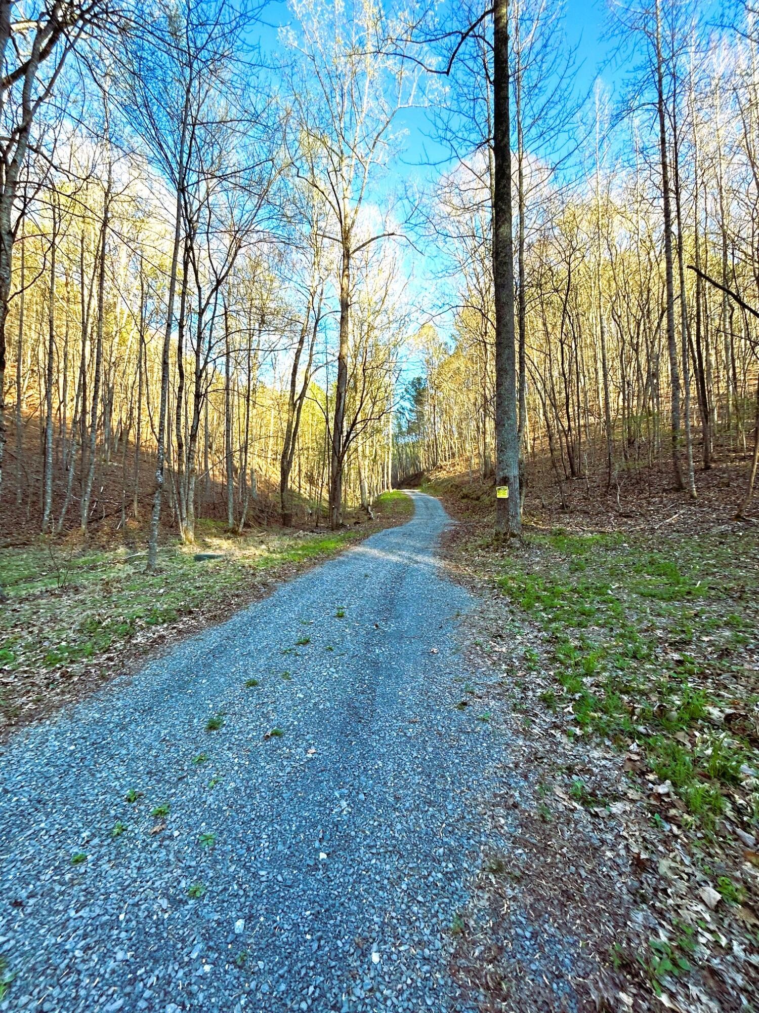 3 Southwest Owl Hollow Road McDonald, TN 37353 - Photo 3 of 9