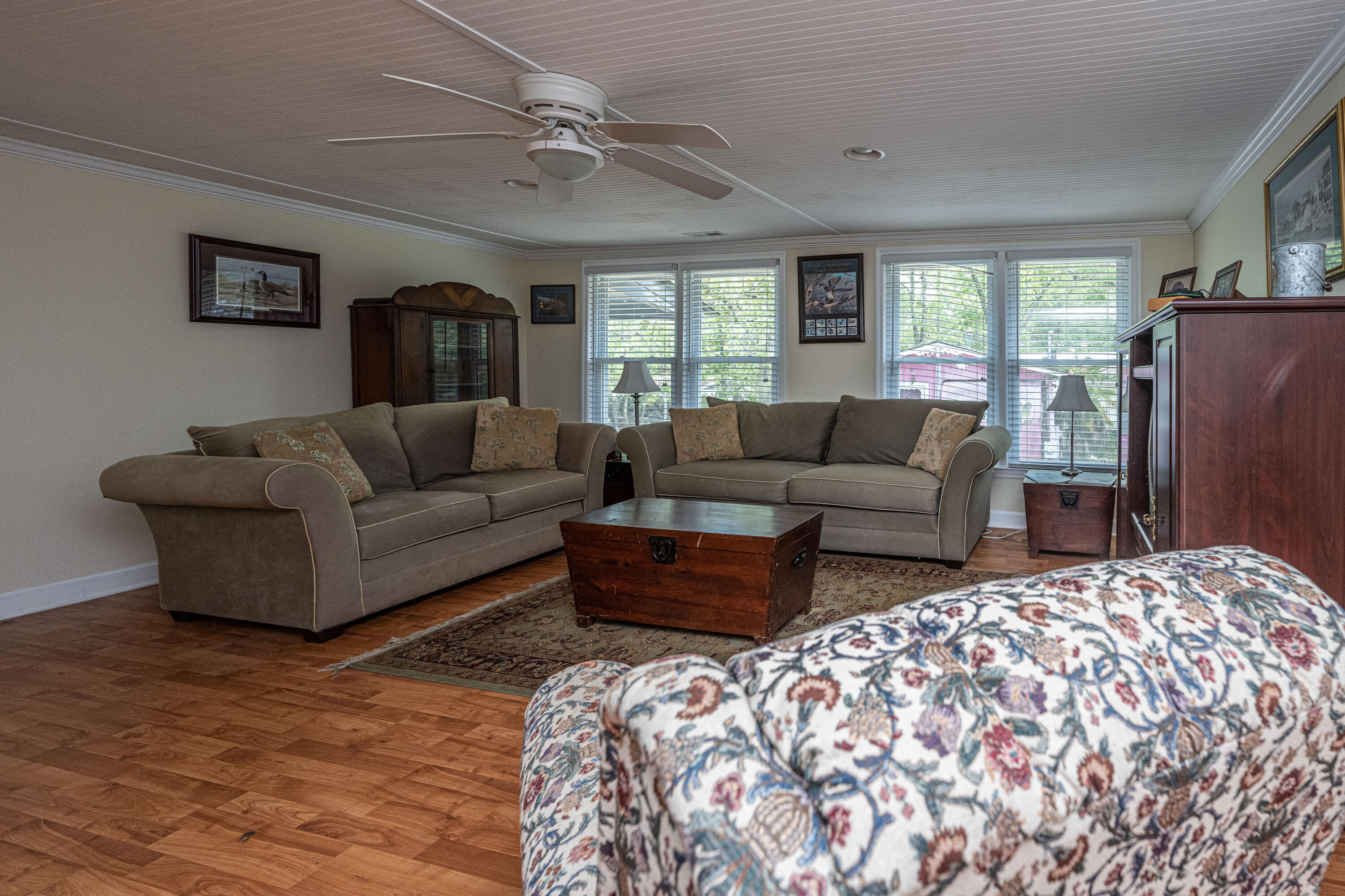 100 Hannibal Drive Ridgeville, SC 29472 - Photo 9 of 38 Lots of Natural Light