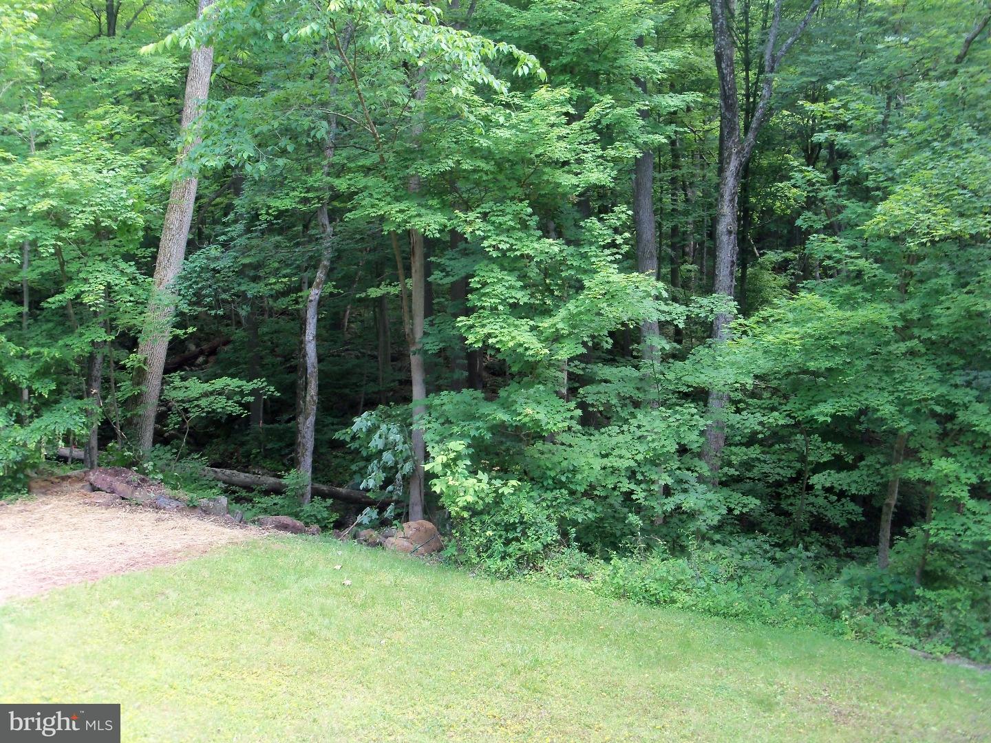 2372 Schaffer Road Pottstown, PA 19464 - Photo 2 of 17 Back Yard