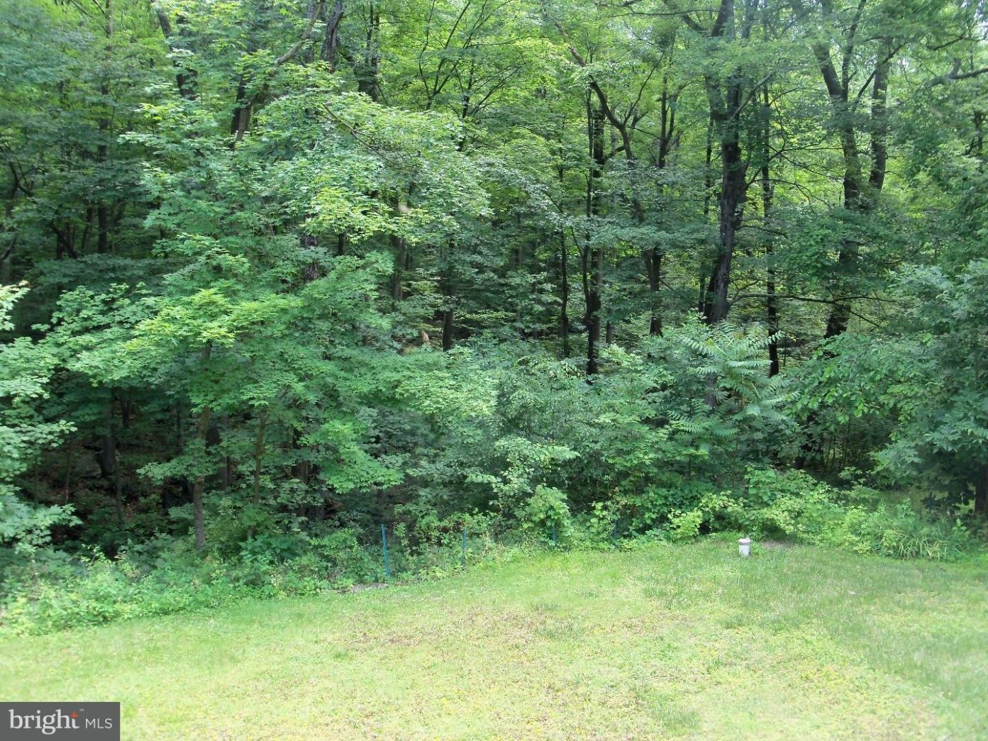2372 Schaffer Road Pottstown, PA 19464 - Photo 3 of 17 Back Yard