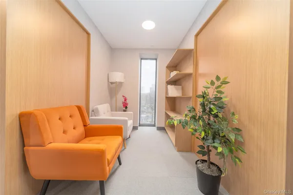 a living room with furniture and a potted plant