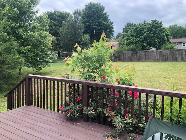 5981 Mouse Creek Road Northwest Cleveland, TN 37312 - Photo 20 of 22 Gallery Image 20