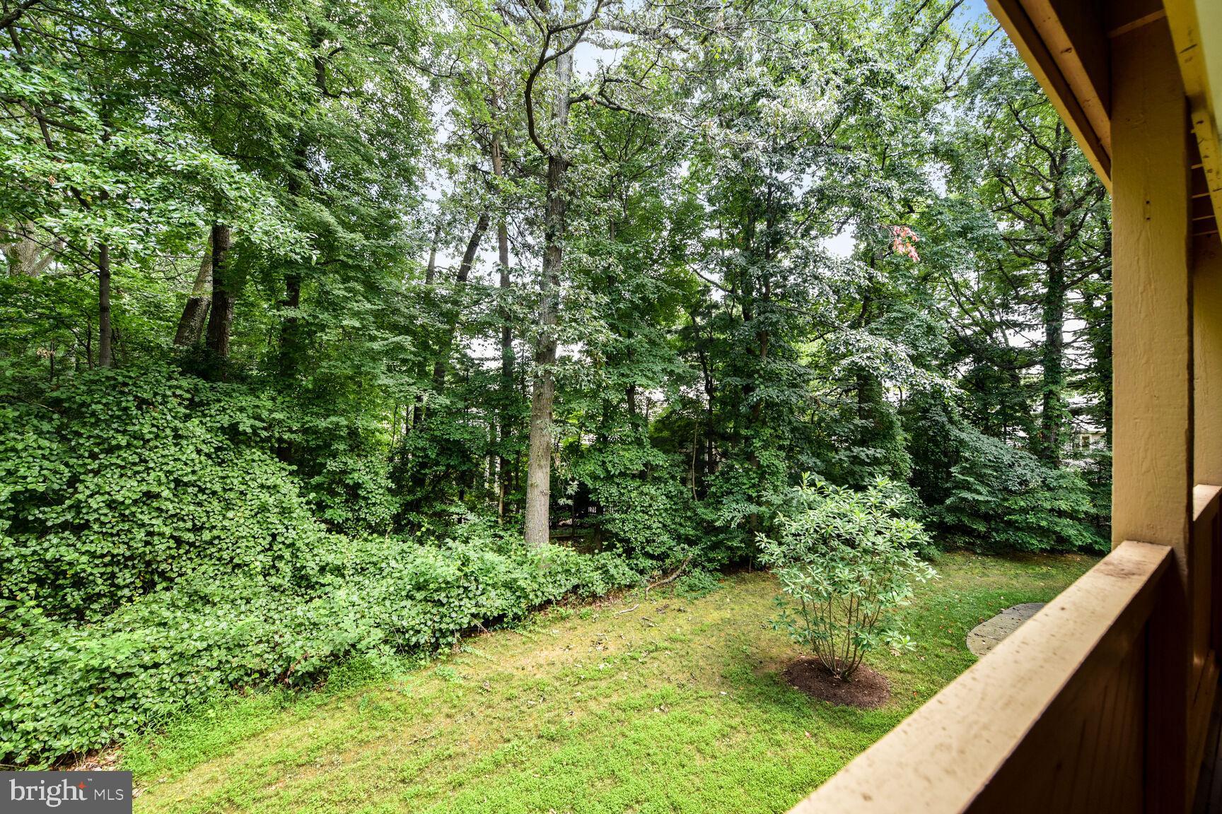 1497 Church Hill Place Reston, VA 20194 - Photo 29 of 30 Backyard view of woods from balcony