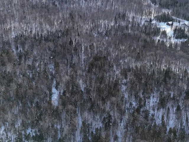 $240,000 | South Wheelock Road, Lyndonville, VT 05851